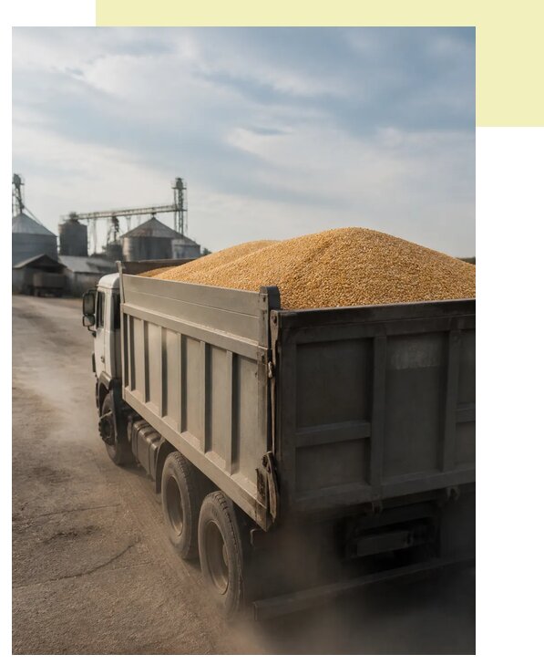 Перевозка сельхозпродукции навалом в Королёв по цене от 3119 р. | Агросервис-Кор