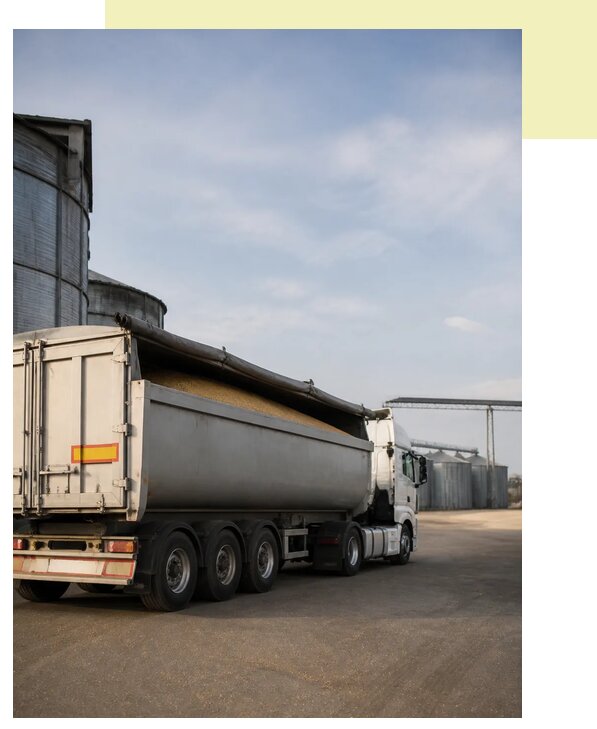 Перевозка масличных культур в Королёв по цене от 1560 р. | Агросервис-Кор