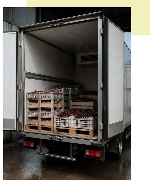 Доставка и перевозка черешни в Королёв по цене от 5562 р. | Агросервис-Кор